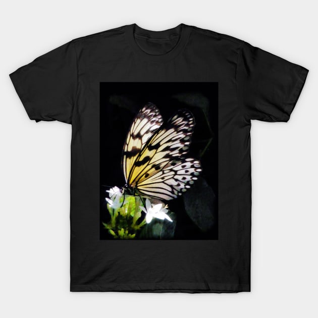 The Tree Nymph T-Shirt by PictureNZ